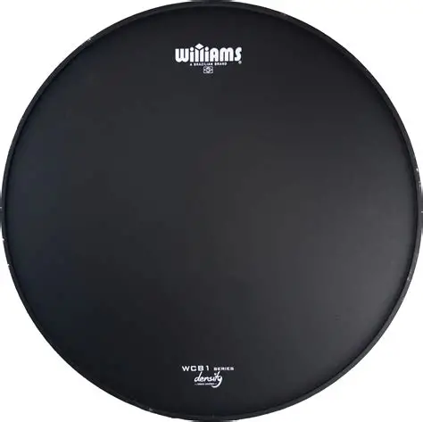 PARCHE PARA CAJA DENSITY BLACK 14" WCB1 WILLIAMS