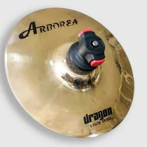 PLATILLO ARBOREA DRAGON SPLASH 6″